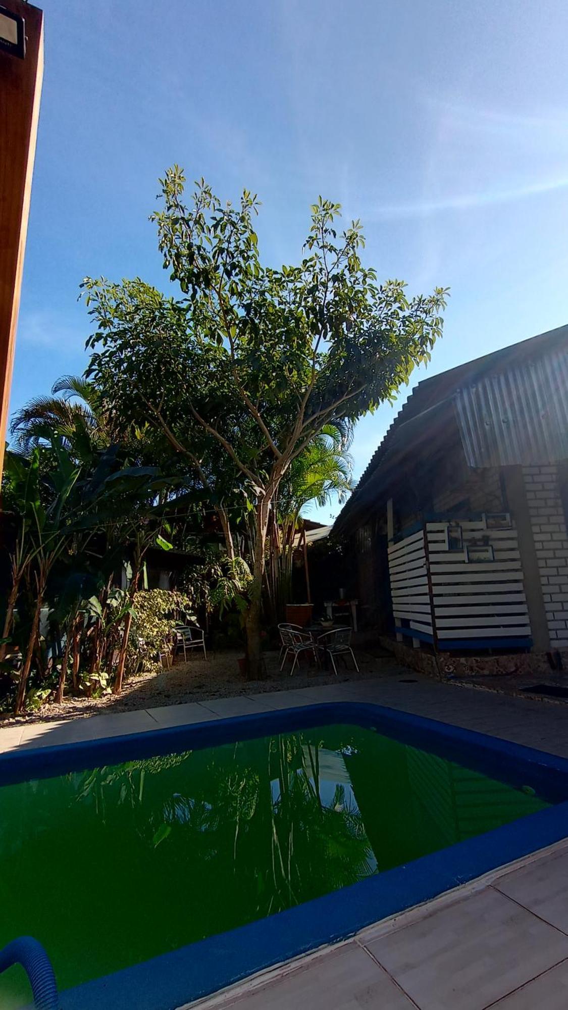 Pousada Zaua Guest House Florianópolis Eksteriør billede