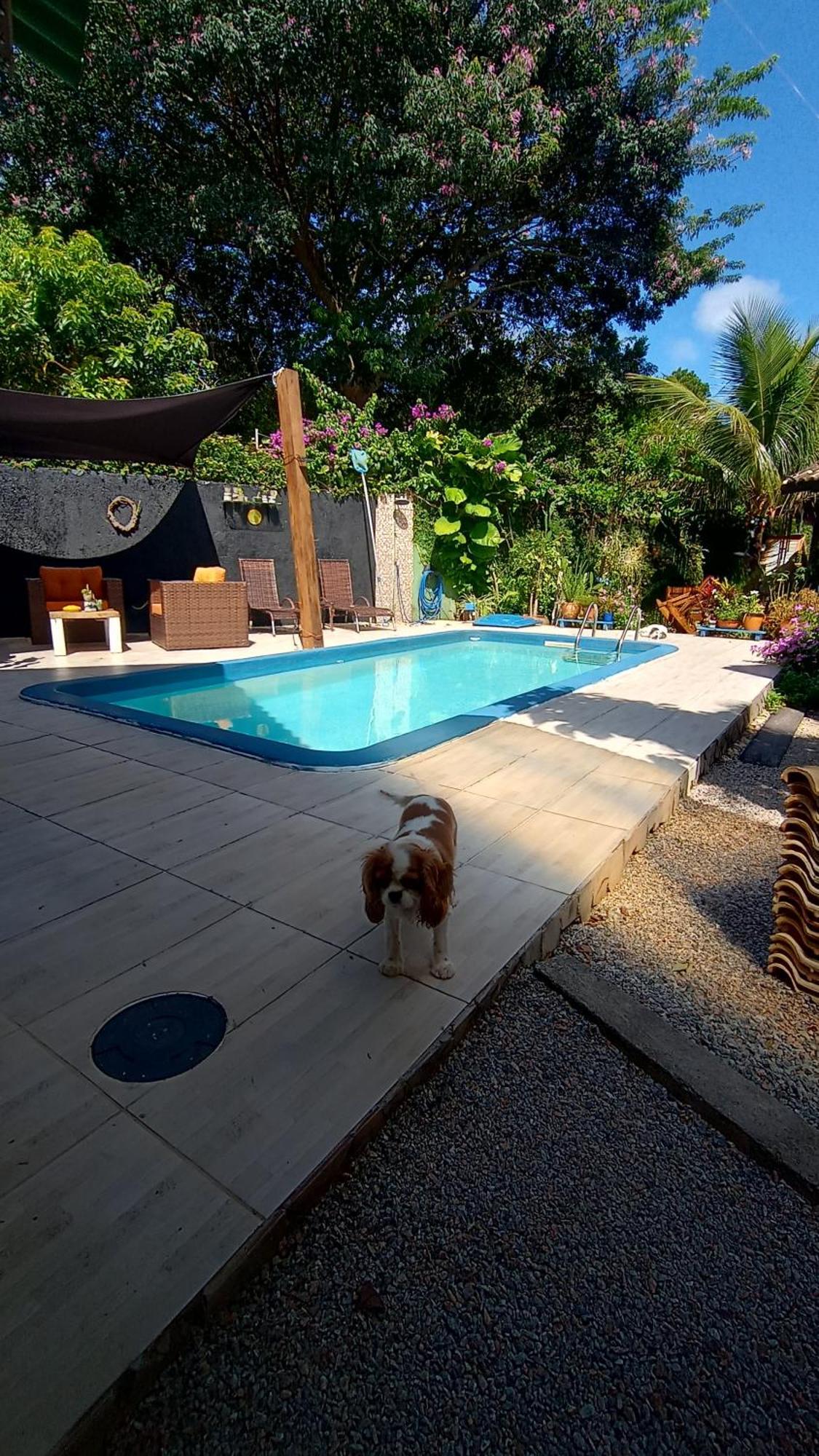 Pousada Zaua Guest House Florianópolis Eksteriør billede